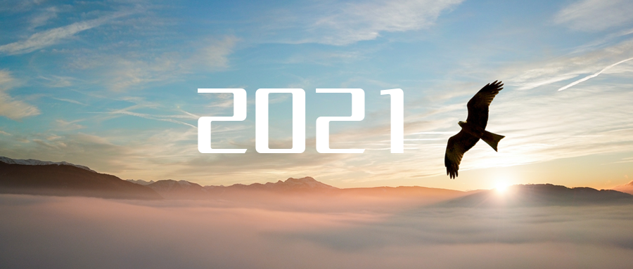 乘“峰”而上，智“盈”未來 ——2021年盈峰環(huán)境高級資深副總裁新年開工動員